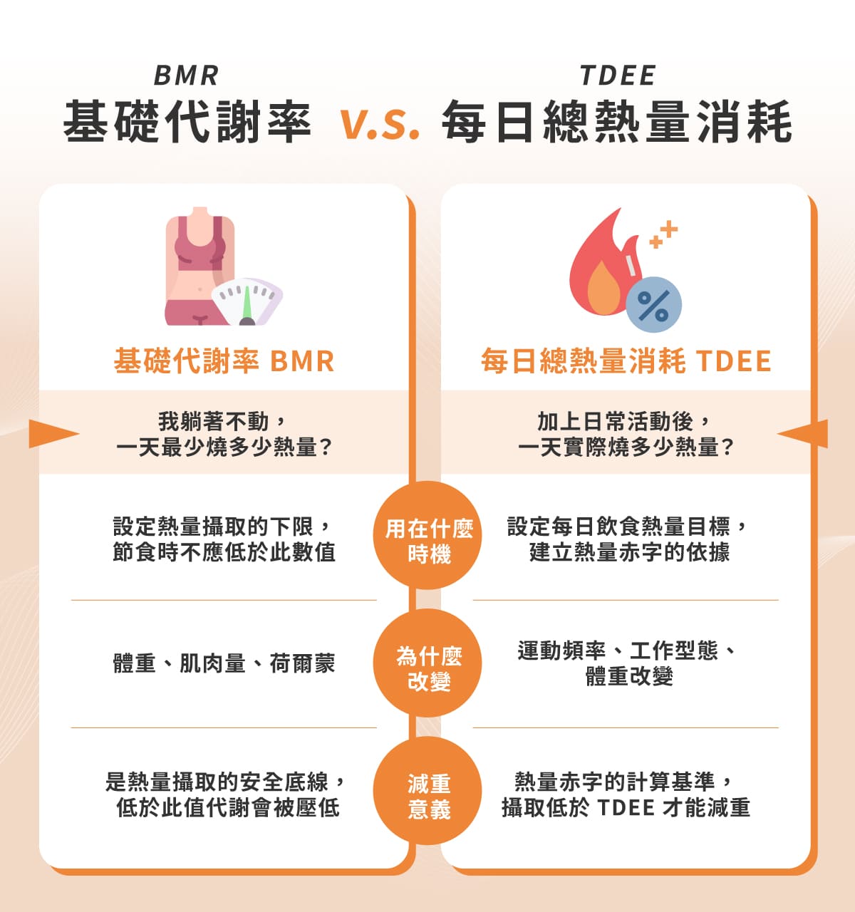 基礎代謝率 BMR vs 每日總熱量消耗 TDEE