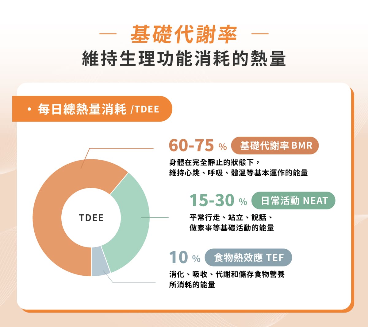 人體每日總能量消耗(TDEE)由3個部分組成:基礎代謝率(BMR)、食物熱效應(TEF)和活動產熱(NEAT) 基礎代謝率佔每日總熱量消耗的 60 至 75%、日常活動會耗費 15 至30% 的能量,而平常進食後的消化吸收耗能(TEF)則佔比 10% 左右